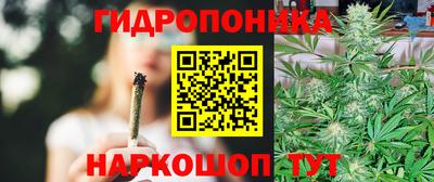 МДПВ Лесосибирск