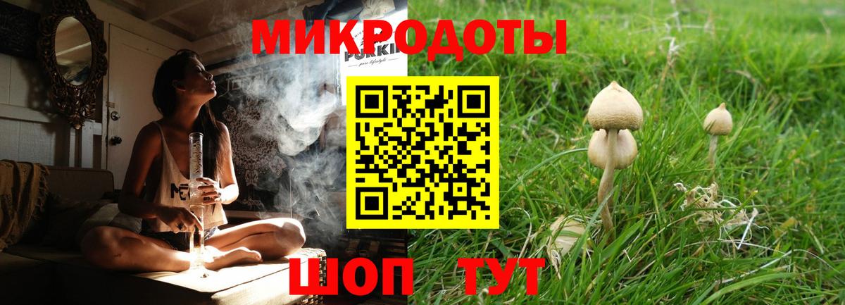 Псилоцибиновые грибы мицелий Джанкой