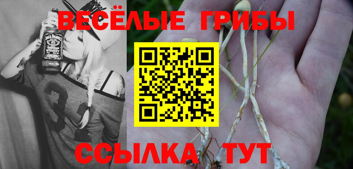 Джанкой  Псилоцибиновые грибы мицелий  купить закладку  Вход с VPN 